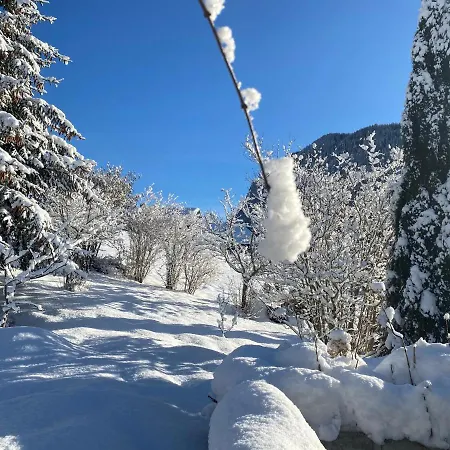 Lodge Jardin Secret - Propriétés Mont