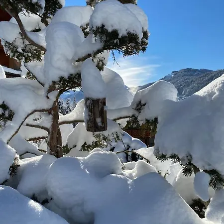 Micro-lodge, Jardin Secret Lodge *